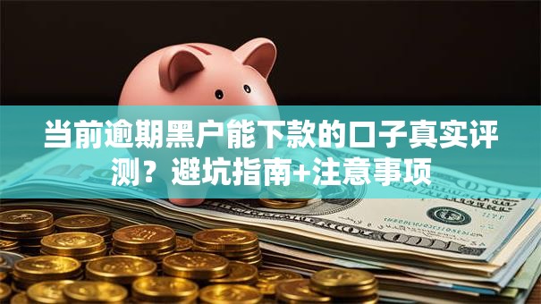 当前逾期黑户能下款的口子真实评测？避坑指南+注意事项