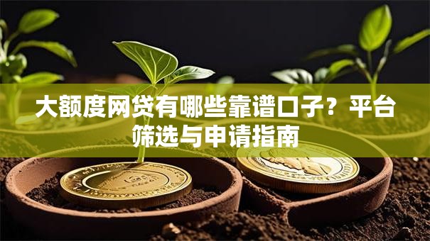 大额度网贷有哪些靠谱口子？平台筛选与申请指南