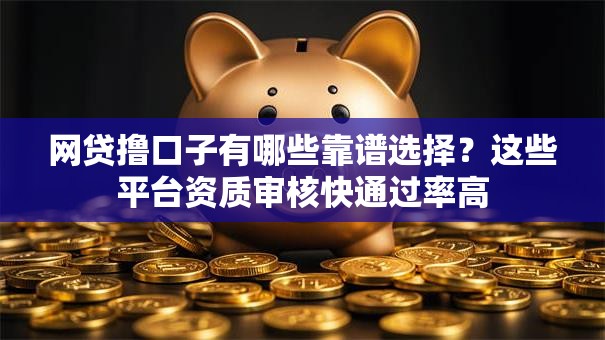网贷撸口子有哪些靠谱选择?这些平台资质审核快通过率高 网贷撸口子有哪些靠谱选择?这些平台资质审核快通过率高