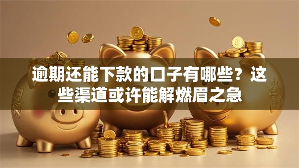 逾期还能下款的口子有哪些？这些渠道或许能解燃眉之急
