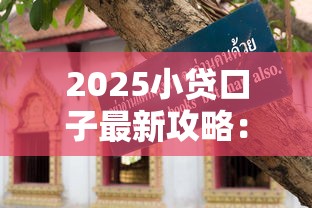2025小贷口子最新攻略：隐藏技巧+避坑指南全解析
