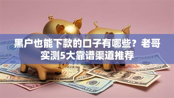 黑户也能下款的口子有哪些？老哥实测5大靠谱渠道推荐