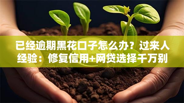 已经逾期黑花口子怎么办？过来人经验：修复信用+网贷选择千万别碰这些坑