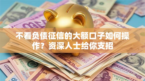 不看负债征信的大额口子如何操作？资深人士给你支招
