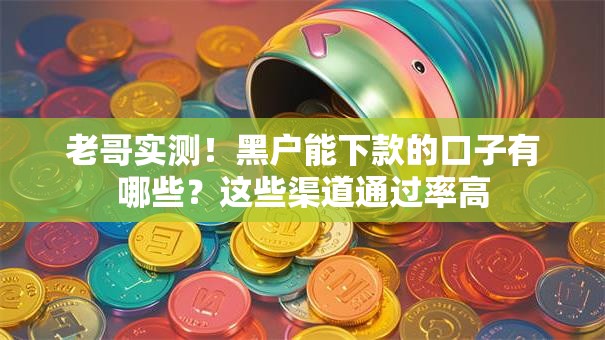 老哥实测！黑户能下款的口子有哪些？这些渠道通过率高