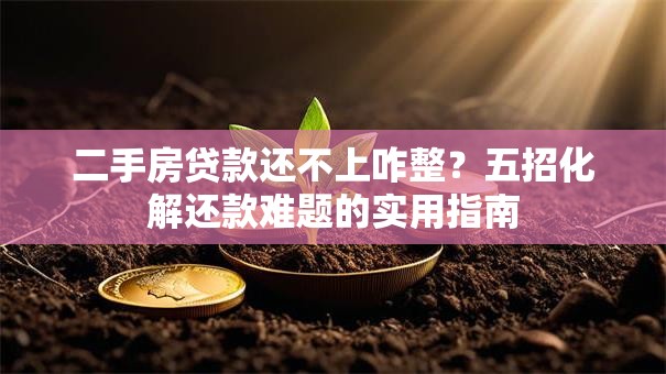 二手房贷款还不上咋整？五招化解还款难题的实用指南