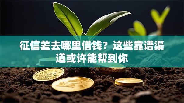 征信差去哪里借钱？这些靠谱渠道或许能帮到你