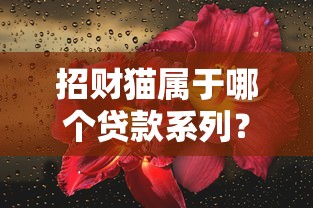 招财猫属于哪个贷款系列?深度解析口子背景与产品特征 招财猫属于哪个贷款系列?深度解析口子背景与产品特征