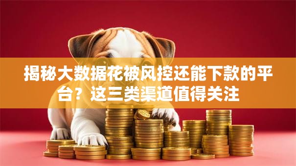 揭秘大数据花被风控还能下款的平台?这三类渠道值得关注 揭秘大数据花被风控还能下款的平台?这三类渠道值得关注