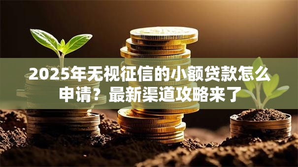 2025年无视征信的小额贷款怎么申请？最新渠道攻略来了