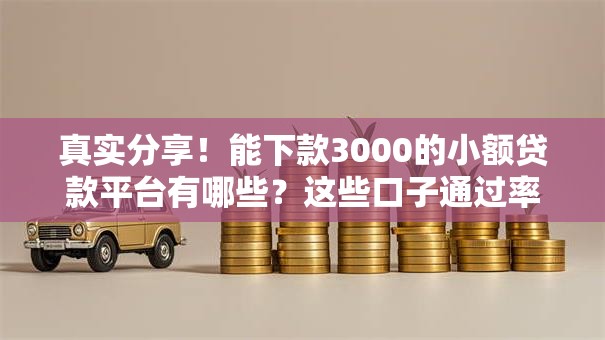 真实分享！能下款3000的小额贷款平台有哪些？这些口子通过率高