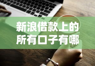 新浪借款上的所有口子有哪些？这些平台优势和使用技巧你知道吗