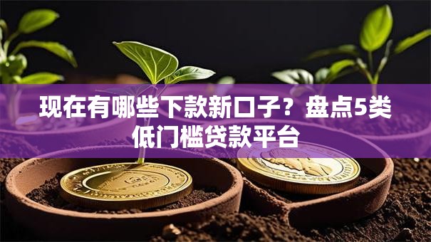 现在有哪些下款新口子？盘点5类低门槛贷款平台
