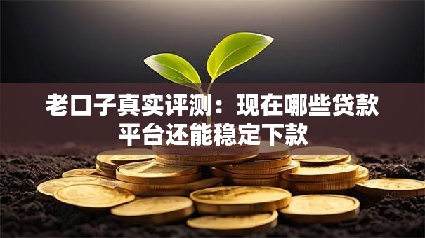 老口子真实评测:现在哪些贷款平台还能稳定下款 老口子真实评测:现在哪些贷款平台还能稳定下款