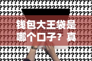 钱包大王袋是哪个口子?真实测评与申请攻略全解析 钱包大王袋是哪个口子?真实测评与申请攻略全解析