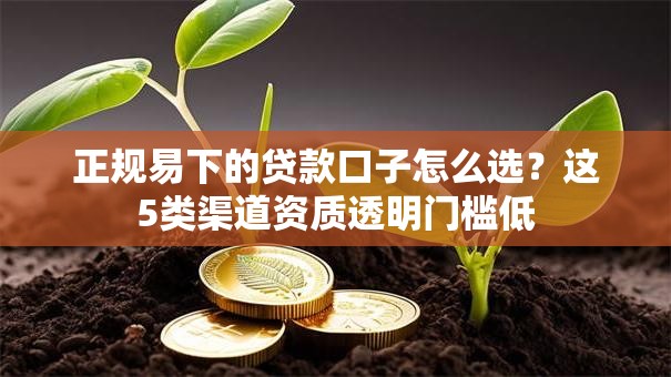 正规易下的贷款口子怎么选?这5类渠道资质透明门槛低 正规易下的贷款口子怎么选?这5类渠道资质透明门槛低
