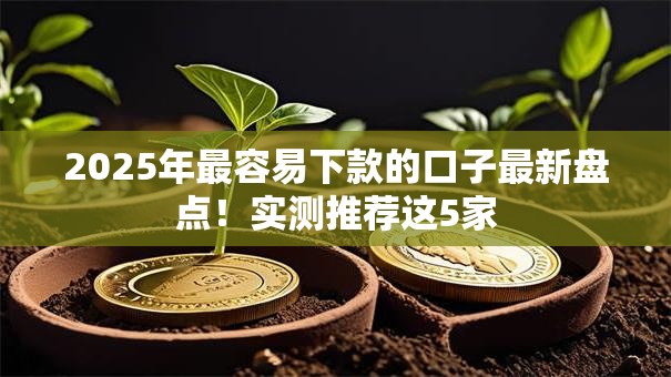 2025年最容易下款的口子最新盘点！实测推荐这5家