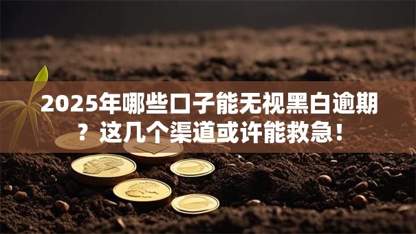 2025年哪些口子能无视黑白逾期？这几个渠道或许能救急！