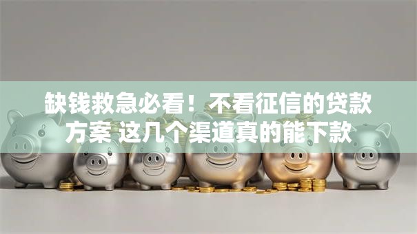 缺钱救急必看!不看征信的贷款方案 这几个渠道真的能下款 缺钱救急必看!不看征信的贷款方案 这几个渠道真的能下款