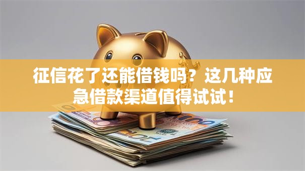 征信花了还能借钱吗？这几种应急借款渠道值得试试！