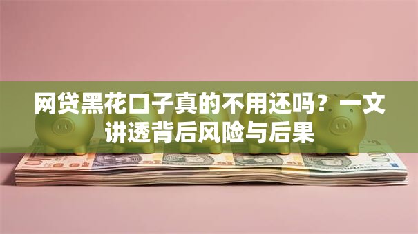 网贷黑花口子真的不用还吗？一文讲透背后风险与后果