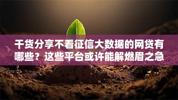 干货分享不看征信大数据的网贷有哪些？这些平台或许能解燃眉之急！