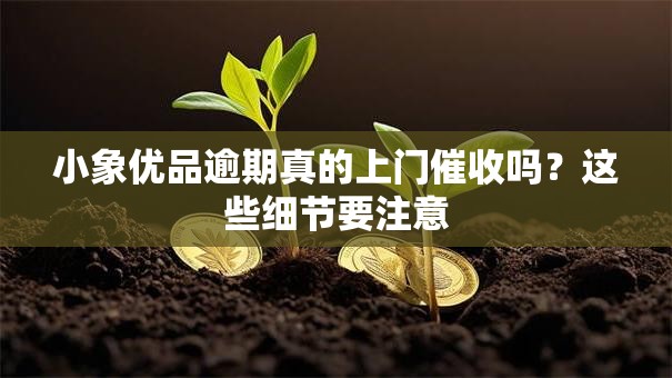 小象优品逾期真的上门催收吗?这些细节要注意 小象优品逾期真的上门催收吗?这些细节要注意