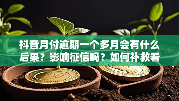 抖音月付逾期一个多月会有什么后果?影响征信吗?如何补救看这里! 抖音月付逾期一个多月会有什么后果?影响征信吗?如何补救看这里!