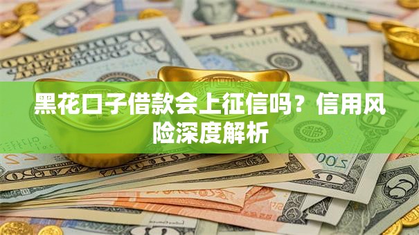 黑花口子借款会上征信吗？信用风险深度解析