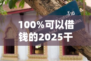 100%可以借钱的2025干货指南：避坑技巧+实操攻略