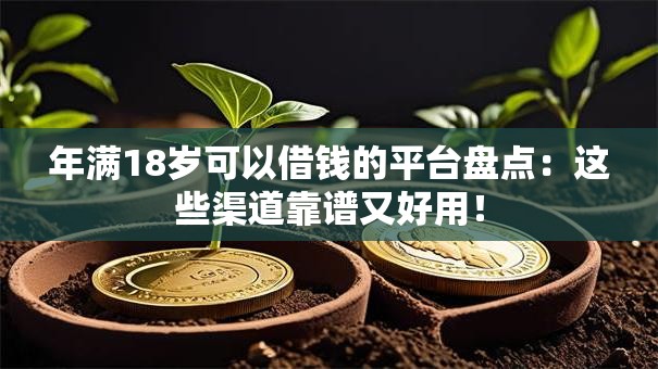 年满18岁可以借钱的平台盘点：这些渠道靠谱又好用！