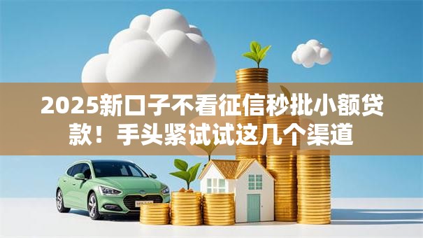 2025新口子不看征信秒批小额贷款！手头紧试试这几个渠道