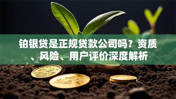 铂银贷是正规贷款公司吗？资质、风险、用户评价深度解析