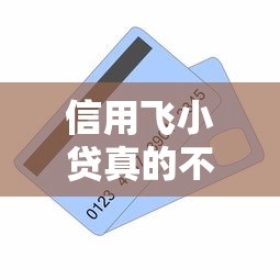 信用飞小贷真的不上征信吗？一文讲透贷款记录查询规则