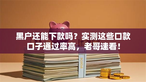 黑户还能下款吗？实测这些口款口子通过率高，老哥速看！