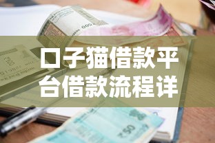 口子猫借款平台借款流程详解：手把手教你轻松搞定贷款