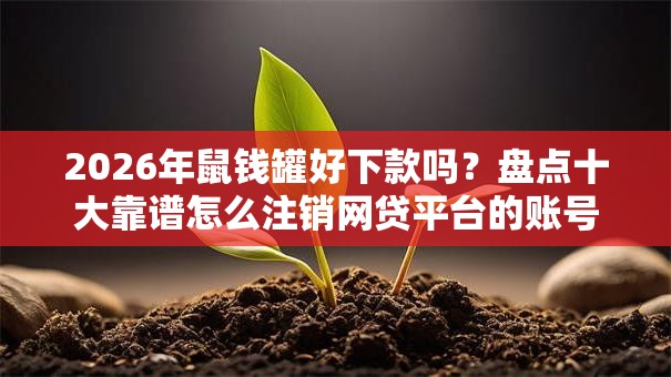 2026年鼠钱罐好下款吗？盘点十大靠谱怎么注销网贷平台的账号