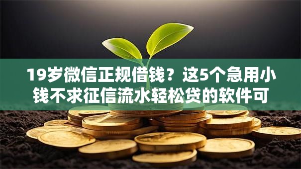 19岁微信正规借钱?这5个急用小钱不求征信流水轻松贷的软件可以试试 19岁微信正规借钱?这5个急用小钱不求征信流水轻松贷的软件可以试试