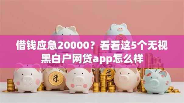 借钱应急20000？看看这5个无视黑白户网贷app怎么样