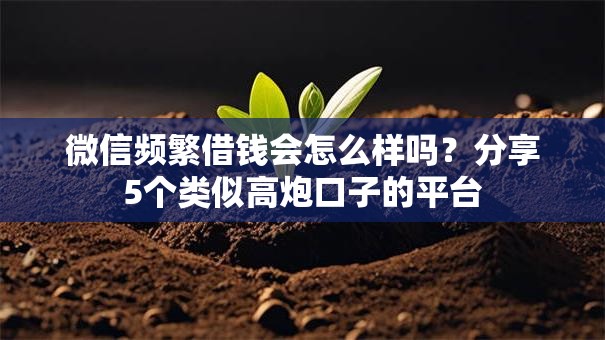 微信频繁借钱会怎么样吗?分享5个类似高炮口子的平台 微信频繁借钱会怎么样吗?分享5个类似高炮口子的平台