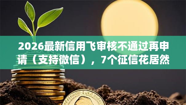 2026最新信用飞审核不通过再申请(支持微信),7个征信花居然都下款的app无私分享 2026最新信用飞审核不通过再申请(支持微信),7个征信花居然都下款的app无私分享