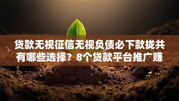贷款无视征信无视负债必下款拢共有哪些选择?8个贷款平台推广赚佣金详解 贷款无视征信无视负债必下款拢共有哪些选择?8个贷款平台推广赚佣金详解