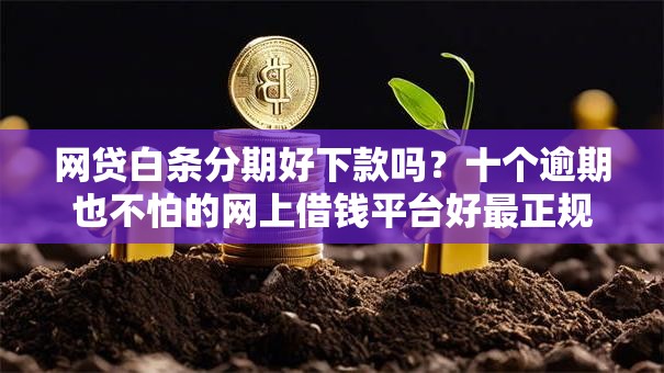 网贷白条分期好下款吗？十个逾期也不怕的网上借钱平台好最正规