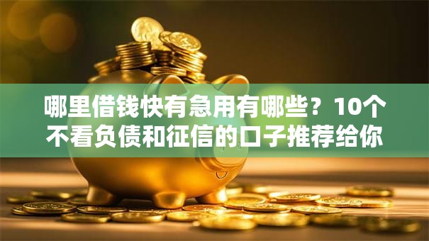 哪里借钱快有急用有哪些?10个不看负债和征信的口子推荐给你 哪里借钱快有急用有哪些?10个不看负债和征信的口子推荐给你