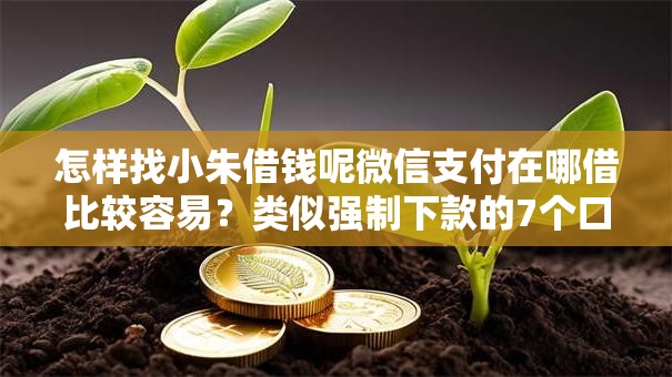 怎样找小朱借钱呢微信支付在哪借比较容易?类似强制下款的7个口子参考 怎样找小朱借钱呢微信支付在哪借比较容易?类似强制下款的7个口子参考