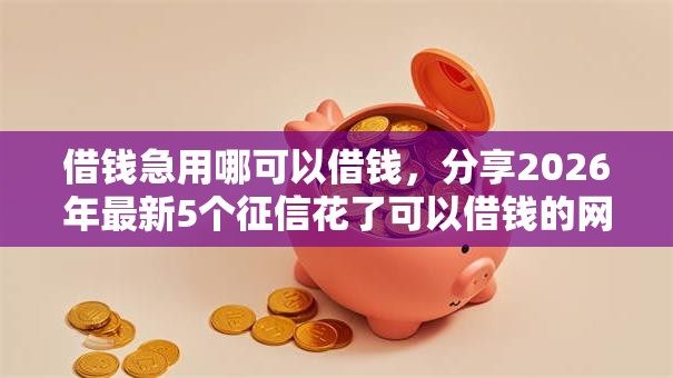 借钱急用哪可以借钱,分享2026年最新5个征信花了可以借钱的网贷软件 借钱急用哪可以借钱,分享2026年最新5个征信花了可以借钱的网贷软件