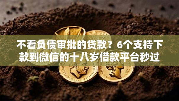不看负债审批的贷款？6个支持下款到微信的十八岁借款平台秒过的软件