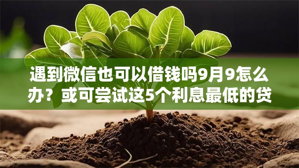 遇到微信也可以借钱吗9月9怎么办？或可尝试这5个利息最低的贷款平台
