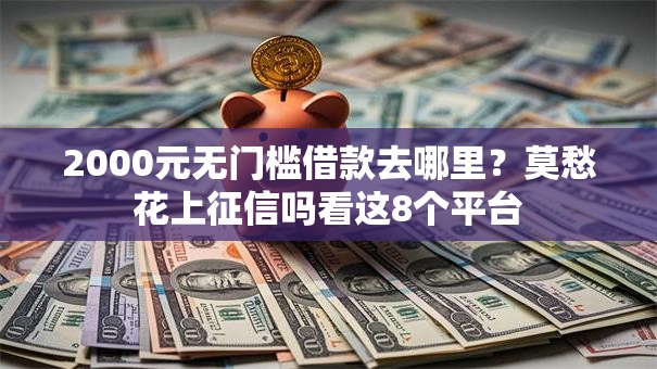 2000元无门槛借款去哪里？莫愁花上征信吗看这8个平台