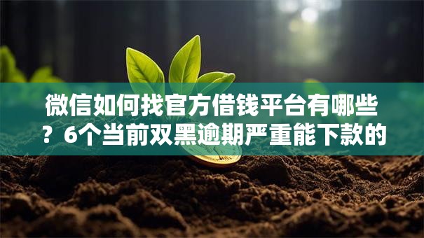 微信如何找官方借钱平台有哪些?6个当前双黑逾期严重能下款的平台推荐给你 微信如何找官方借钱平台有哪些?6个当前双黑逾期严重能下款的平台推荐给你
